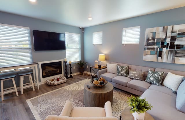 Aria of Shelby Gallery 3