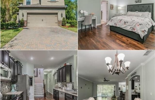 9906 Spice Bush Ct - 9906 Spice Bush Court, Tampa, FL 33647