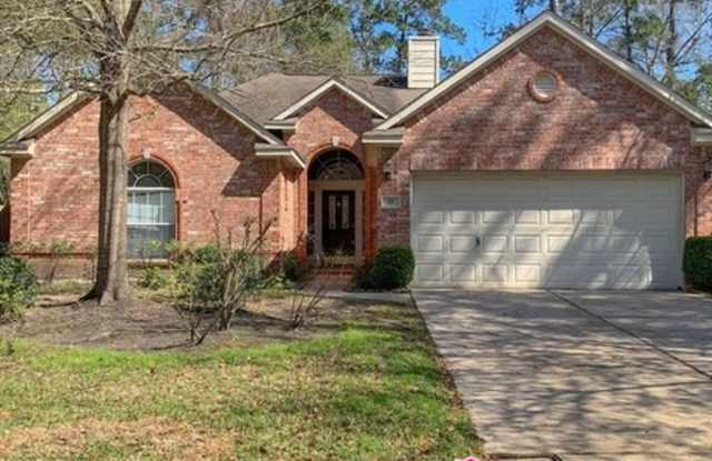 22 Indian Corn Plaza - 22 Indian Corn Place, The Woodlands, TX 77384