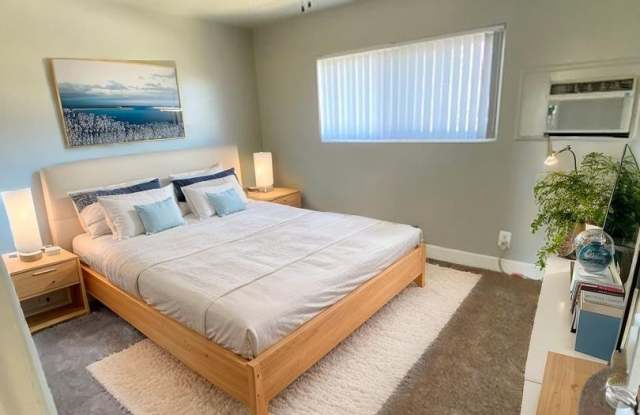 Palm Rose photos photos Palm Rose photos photos