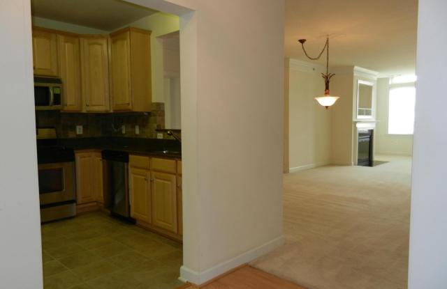 44485 CHAMBERLAIN Terrace Gallery 3