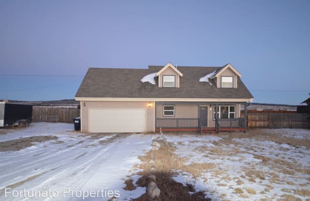 801 Crawford Lane - 801 Crawford Lane, Fairplay, CO 80440