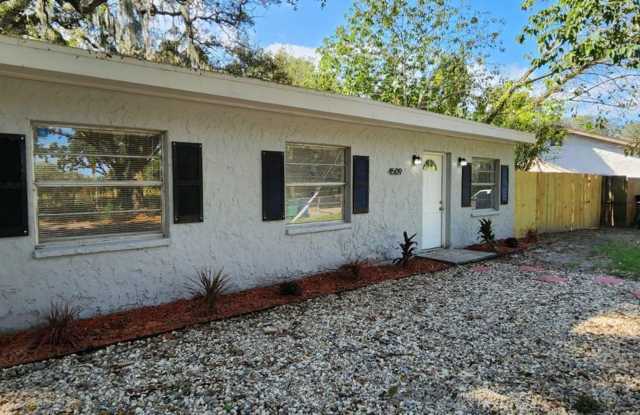3/3 Beautiful Tampa Home Available Now ! - 4509 East Henry Avenue, Tampa, FL 33610