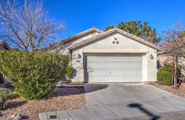 3227 Velvet Rose Street photos photos