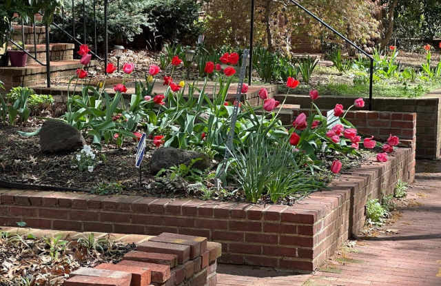 1847 MINTWOOD PL NW - 1847 Mintwood Place Northwest, Washington, DC 20009