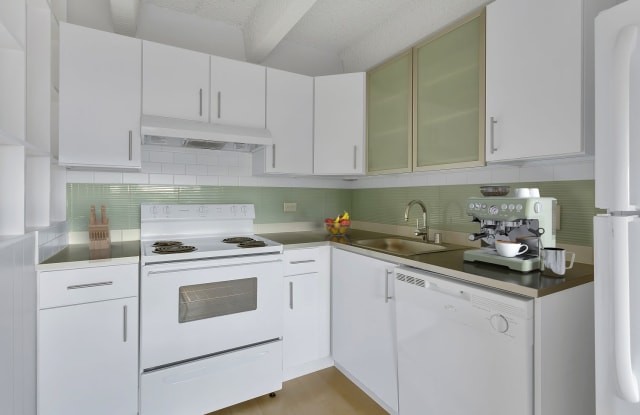 825 Dahlia Gallery 4