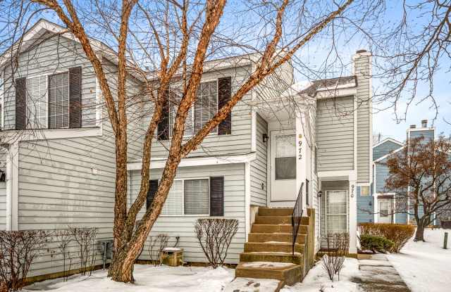 972 Mallard Circle - 972 Mallard Circle, Schaumburg, IL 60193