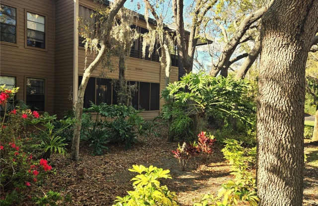 103 CYPRESS POND ROAD - 103 Cypress Pond Road, Palm Harbor, FL 34683