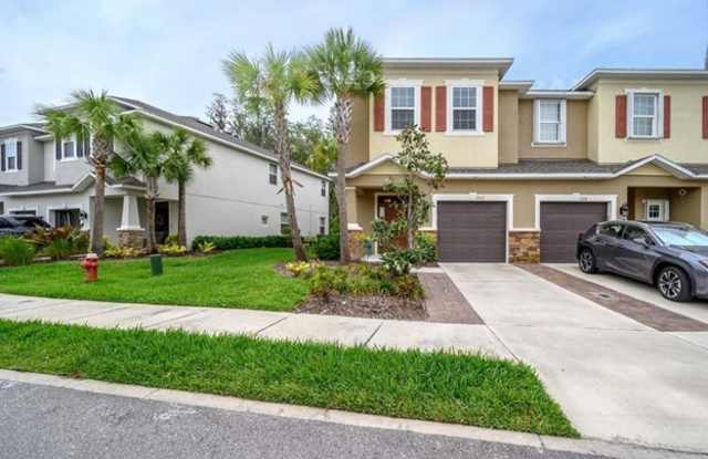 1102 Vineyard Lane - 1102 Vineyard Lane, Oldsmar, FL 34677