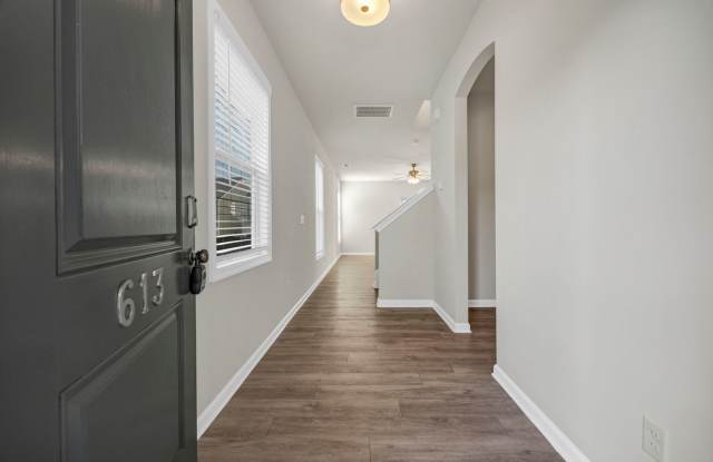 PRISTINE HOME IN PINNACLE RIDGE IN LAKE CAROLINA Gallery 4