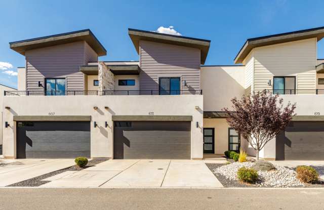 3 bed | 2.5 bath | 2 car brand new townhome near Crimson High School photos photos