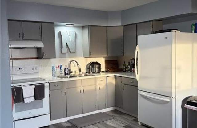 102 Lake Avenue S - 102 Lake Avenue South, Spicer, MN 56288