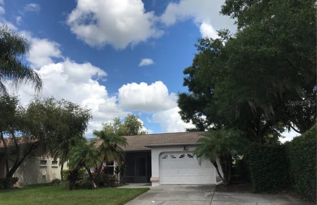 13112 FAULKNER PLACE - 13112 Faulkner Place, Riverview, FL 33579