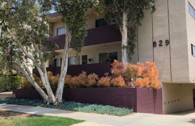 829 Euclid St 7 - 829 Euclid St, Santa Monica, CA 90403