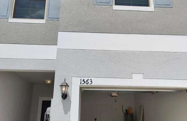 1563 Cassius Street- Willow Square - 1563 Cassius Street, Land O' Lakes, FL 33549