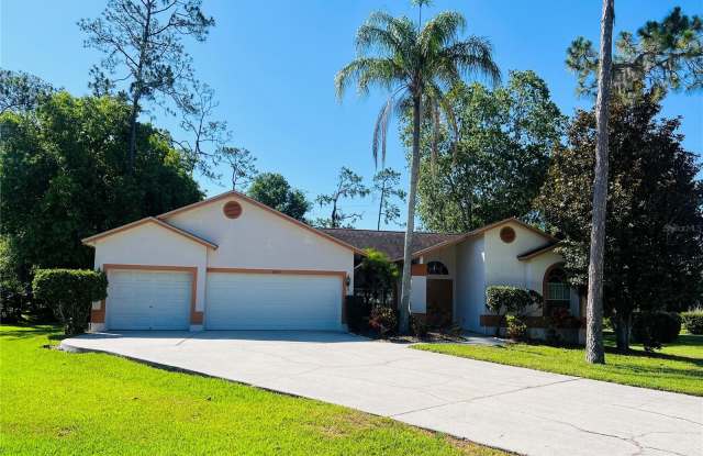 1035 ELK WAY - 1035 Elk Way, East Lake, FL 34677
