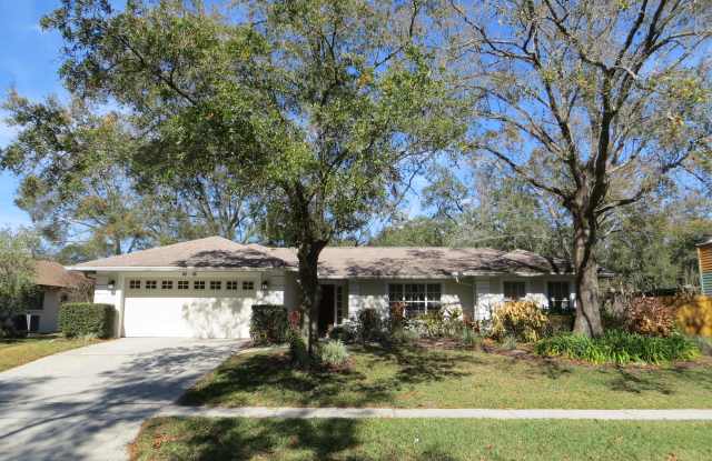 6228 Soaring Ave - 6228 Soaring Avenue, Temple Terrace, FL 33617