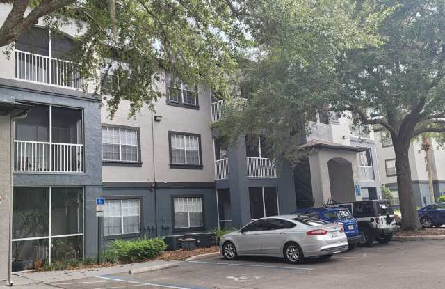 The Preserve at Temple Terrace photos photos