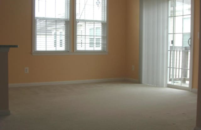 42245 SAN JUAN TERRACE Gallery 4