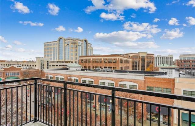 Call Ingrid Bayne at (757)873-6851 photos photos