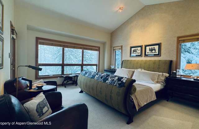 302 Roaring Fork Drive photos photos