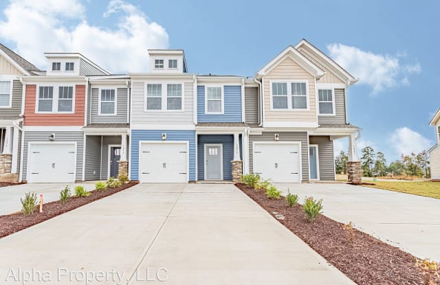 1079 Millison Pl - 1079 Millison Pl, Spartanburg County, SC 29369
