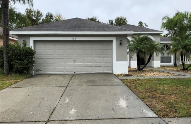 10018 CANNON DRIVE - 10018 Cannon Drive, Riverview, FL 33578