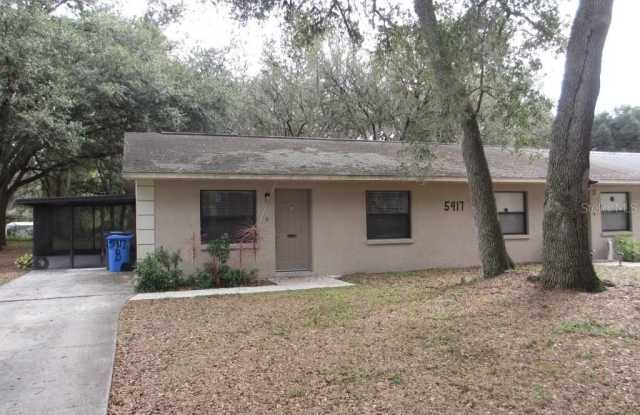 5417 MCLEOD DRIVE - 5417 McLeod Drive, Mango, FL 33610