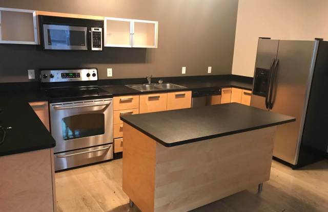 Spectacular Spacious Studio Condo in Downtown St. Paul. - 350 Saint Peter Street, St. Paul, MN 55102