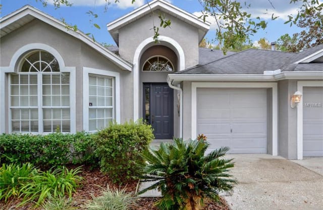 6011 CATLIN DRIVE - 6011 Catlin Drive, Tampa, FL 33647