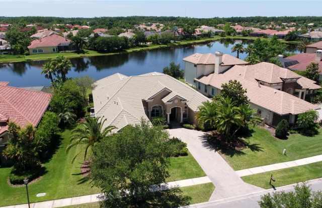 11818 SHIRE WYCLIFFE COURT - 11818 Shire Wycliffe Court, Keystone, FL 33626