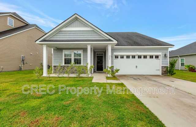 268 Witch Hazel Street - 268 Witch Hazel Street, Berkeley County, SC 29486