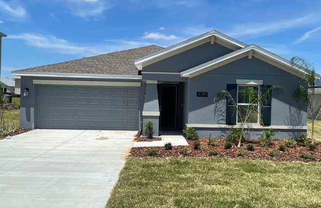 Sawgrass Bay house for Rent photos photos