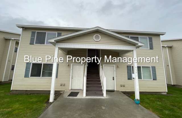 952 Anne Street photos photos