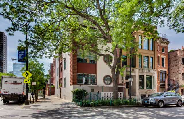 143 West Burton Place - 143 West Burton Place, Chicago, IL 60610