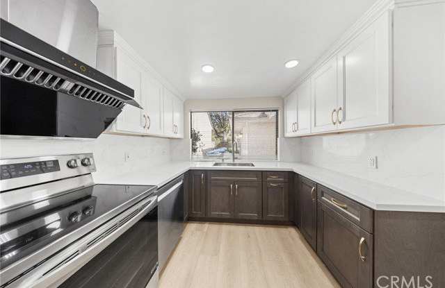 17284 Citron Gallery 3