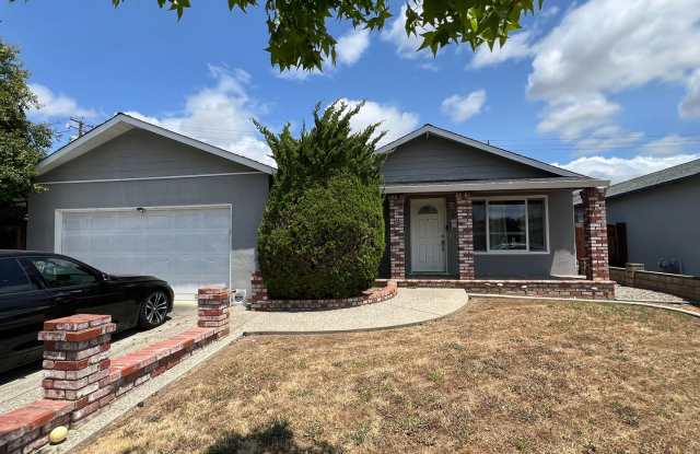 Solar Panel house in San Jose- Huge living room! photos photos