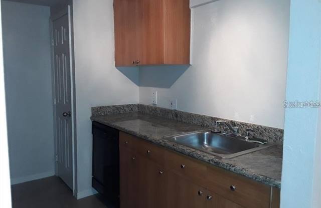 14917 ARBOR SPRINGS CIRCLE Gallery 3