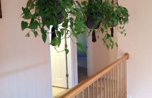 8428 Summer Breeze Pl Gallery 4