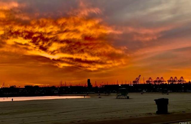 1310 East Ocean Boulevard - 1310 East Ocean Boulevard, Long Beach, CA 90802