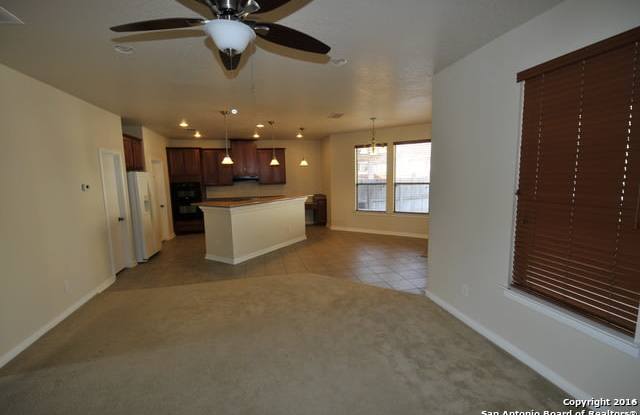 241 HORSE HL Gallery 2