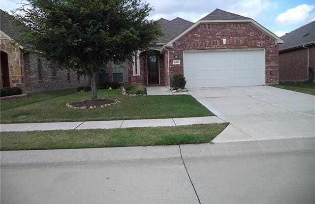 11701 Cape Cod Springs Drive - 11701 Cape Cod Springs Dr, Frisco, TX 75036