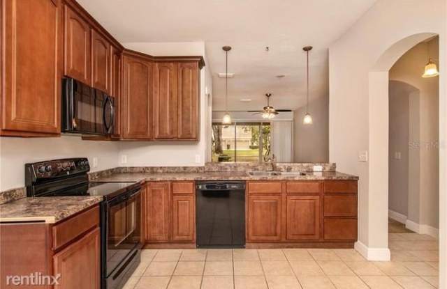 4153 Bismarck Palm Dr Fl 33610 Gallery 2