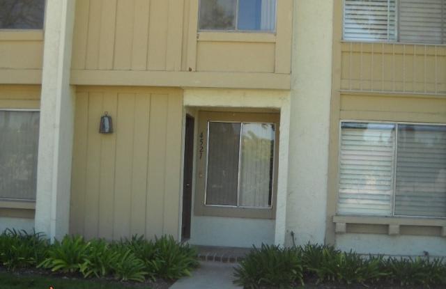4521 Trevino Way Gallery 3