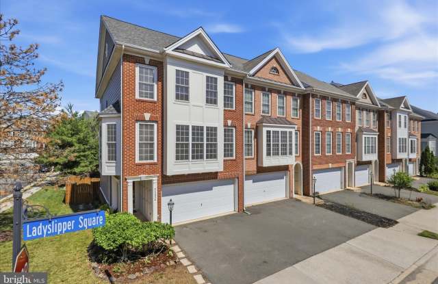 21824 LADYSLIPPER Square photos photos 21824 LADYSLIPPER Square photos photos