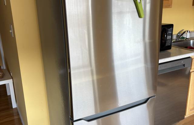 58 Almont Street photos photos