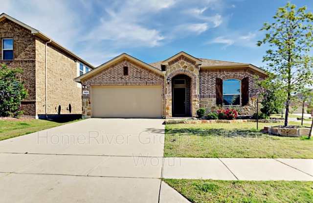 11825 Champion Creek Dr - 11825 Champion Creek Drive, Denton County, TX 75036