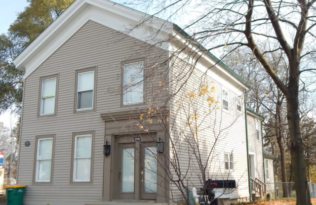 219 South Main Street - 219 South Main Street, Romeo, MI 48065