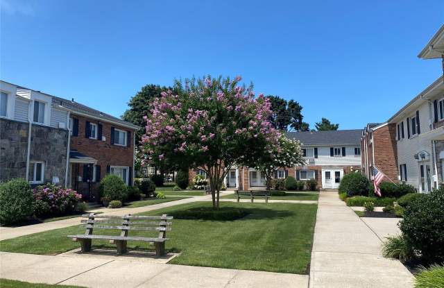 220 Dawson - 220 Dawson Lane, Jericho, NY 11753