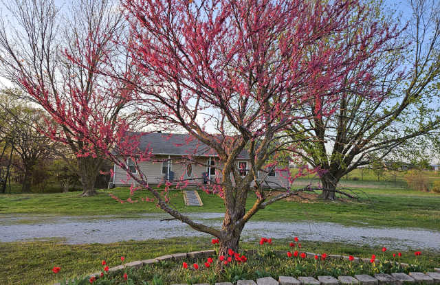 22560 Arkansas 72 photos photos